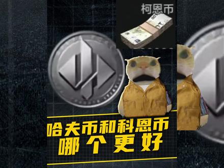 所以你是哪个游戏的玩家#哈夫币