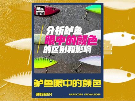鲈鱼眼中的颜色世界 | 别单凭感觉选颜色了!鲈鱼眼中饵长啥样 红色、蓝色、绿色、紫、黄绿、绿南瓜……你眼中鲜艳夺目的软饵,在鲈鱼眼里到底是什么样子?
这个视频,我用色盲模拟滤镜,带你看懂鲈鱼的两色视觉(红+绿,缺蓝):
为什么紫色饵可能“消失”在水里?
黑蓝组合会变成什么颜色?
最畅销的sexy shad,鲈鱼看着还“性感”吗?
蓝鳃色的swim jig,真的能匹配太阳鱼吗?
高对比度到底该选什么颜色?
从桌上到水下,实拍对比+模拟滤镜,结论可能颠覆你的认知!最后还有一个灵魂拷问:颜色到底重不重要?答案在视频里。
#路亚新手入门教程 #2026dou来钓鱼 #钓鱼技巧 #路亚野钓 #路亚饵选择