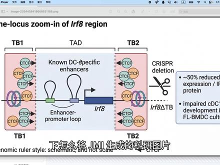 Gemini科研图片无损编辑
别在用svg矢量化了
#科研绘图 #研究生 #科研 #论文