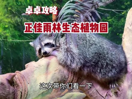 广州正佳广场不愧是4A级旅游景区,吃喝玩乐什么都有!#疯玩暑假 #奥特曼来正佳啦 #正佳星球动漫狂欢节 #广州游玩推荐 #广州吃喝玩乐攻略
