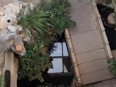 #江南小镇的日常 有热饭吃的幸福~