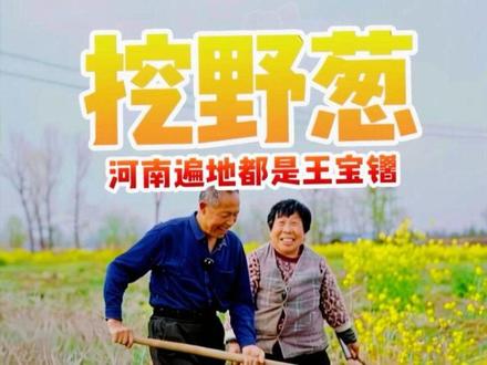 河南遍地都是王宝钏 河南的吃货最近特别忙,这个季节的野葱可不要错过,不管是炒鸡蛋还是摊煎饼都不错,你们那边都怎么吃。#新农人计划2026 #抖音新农人 #我的乡村生活 #农村美食 #野菜