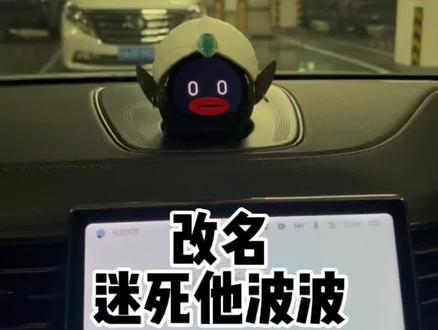 应广大人网友要求波波先生改名啦 看到最后有惊喜#龙珠 #蔚来 #nomi #vlog日常 #抖音汽车