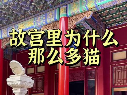 您知道故宫里的猫为什么那么多吗#故宫里为什么那么多猫#故宫