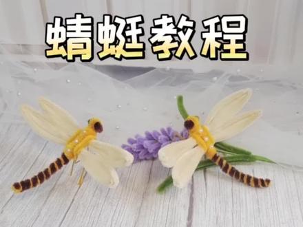 蜻蜓教程,快动手做起来吧😀#手工diy #扭扭棒 #蜻蜓 #给生活找点乐子