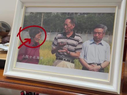 感谢吴奶奶让我们实现了吃瓜自由! (这条bgm里还有比吴奶奶更帅的吗?)#西瓜 #西瓜之母 #吴明珠 #女性