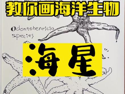 教你画海洋生物-海星#画画 #手绘 #绘画 #插画 #想画就画