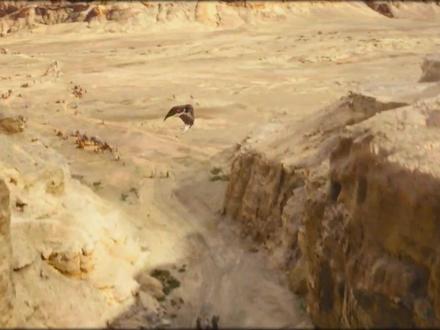 近十年最高分武侠片,终于等到《镖人》的真江湖 #镖人 #吴京 #陈丽君 #青年创作者成长计划 #这也能开播