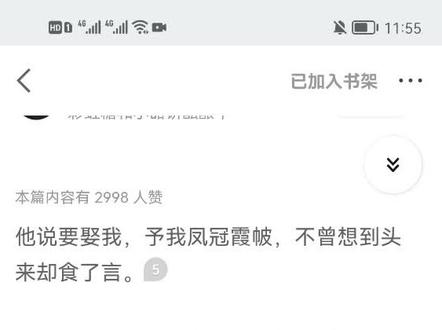 他说要娶我的,予我凤冠霞帔,不曾想到头来切食言了。#完结文 #每日推荐 #每日小说 #文荒推荐 #推文
