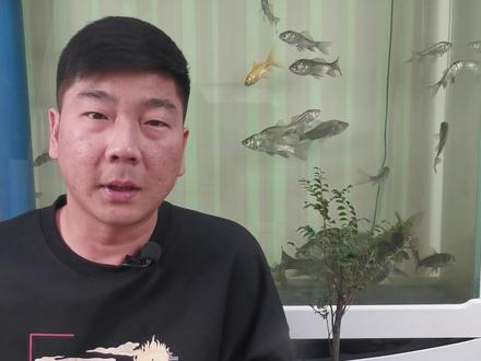 判断鱼起浮,怎么应对。#黑坑 #钓鱼 #干货分享