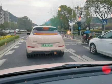 AD是纯电,AF是混电,谁能告诉我绿牌AA是什么?