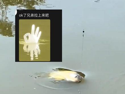 钓鱼界“野路子”天花板!手套自制浮漂,见“OK”必中鱼,网友:遇到你之前,我简直是在乱钓!(编辑:陈凡林 责编:梁龙 审核:曾春满)