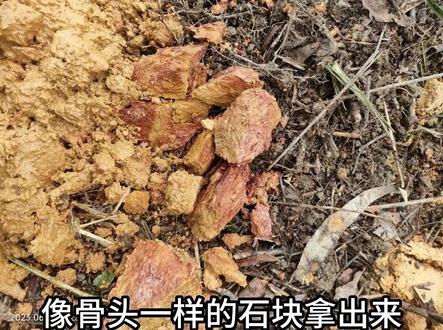 五色土 似土非土 似石非石 符合葬经的描述
#风水大师 #风水培训 #风水玄学 #风水宝地 #龙穴宝地