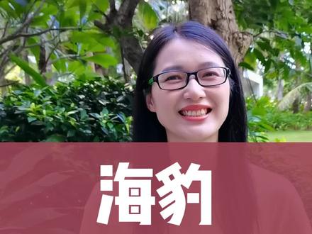 "海豹" 用英语怎么说? #零基础英语 #单词拼读 #轻松学英语