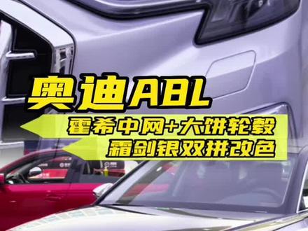 这中网满满都是金钱的味道啊!#奥迪A8 #霍希版a8l #汽车改装升级 #隐形车衣 #汽车改色贴膜