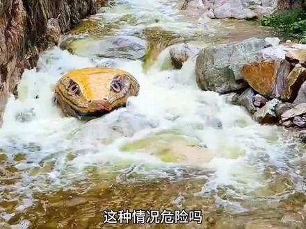 遇到这个危险吗?这些场面你都见过吗!#危险动作请勿模仿 #危险#科普