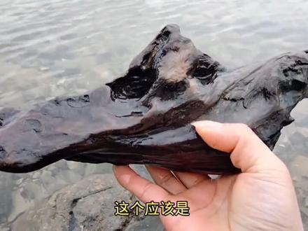 水中打捞阴沉木,小伙打算捡回去,做根雕手把件值得收藏吗?