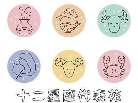 十二星座性格,分别代表什么花?你是什么性格什么花? #十二星座 #性格 #花 #玫瑰
