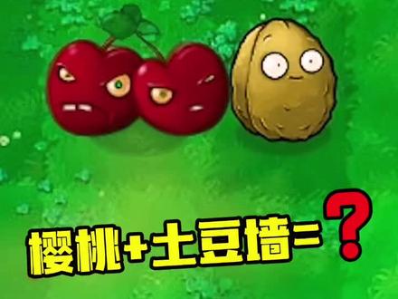 植物大战僵尸:当樱桃爆炸的那一刻,土豆墙会怎样?#植物大战僵尸 #pvz