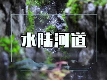 水陆缸造景干货第七集,河道怎么做?#水陆缸造景