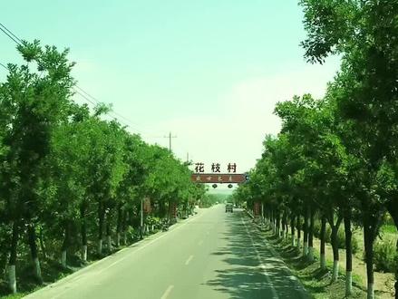 汾阳市花枝村:基层党建新局面 美丽花枝展新颜