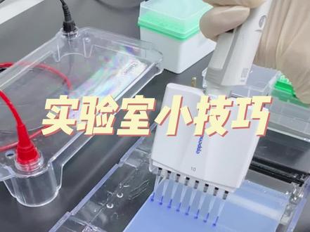琼脂糖凝胶电泳实验加样小技巧 #实验室日常 #科研 #实验技巧 #排枪