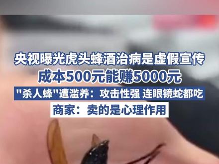 央视曝光虎头蜂酒治病是虚假宣传!成本500元能赚5000元,“杀人蜂”遭滥养:攻击性强,连眼镜蛇都吃。商家:卖的是心理作用