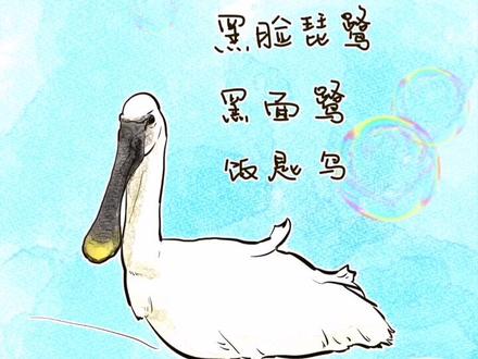 我有一张奇特的嘴巴!#动物 #抖音原创动漫 #科普 #动画 #画画 #亲子教育