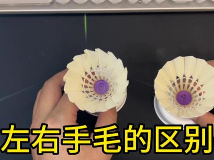 羽毛球左右手毛的区别 #羽毛球