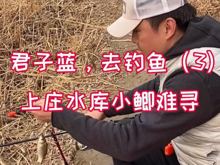 上庄水库,小鲫难寻#钓鱼技巧 #钓鱼#野钓