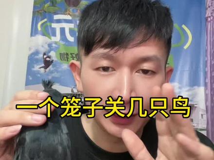 一个笼子能不能养2只小黑鸟