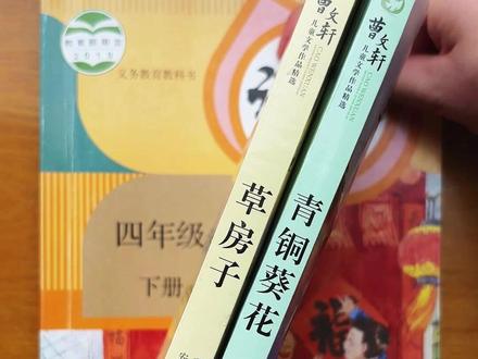 青铜葵花和草房子,四年级的每个孩子都应该看,课本第21课芦花鞋,就节选自青铜葵花这本书,孩子读完不仅积累了好词好句,还懂得了平凡的善良,是最珍贵的 “财富”#青铜葵花 #曹文轩 #儿童文学 #四年级语文 #小学语文 lll