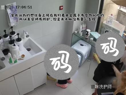 关于近期网传针对我家暴力洗猫的澄清与说明 #洛阳 #养猫避雷 #猫咪洗澡 #宠物洗护 #宠物店