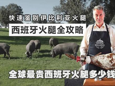 西班牙火腿全攻略 如果鉴别西班牙火腿 #科普一下 #健康食品 #西班牙火腿 #西班牙 #西班牙大米良 #美食