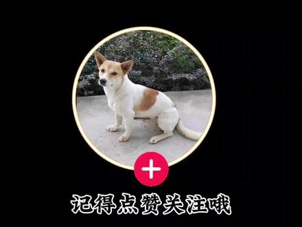 西瓜抖音视频片尾圆形头像制作,剪映制作片尾头圆形像。 #片尾制作 #视频片尾 #专属片尾 #片尾 #手机剪辑教学