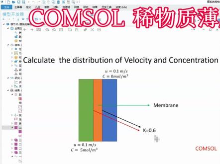 #COMSOL 稀物质薄膜传递~Part2 网格划分&计算&后处理(浓度曲线)