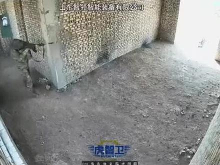 中国机器狗的正确使用方式