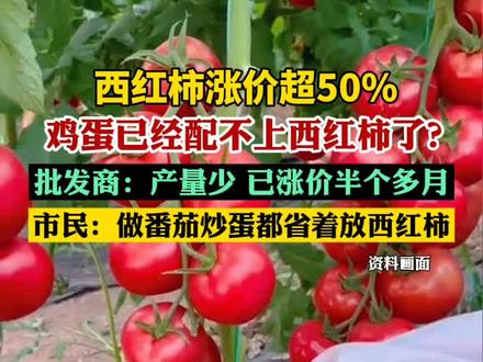 (原创)西红柿涨价超50%