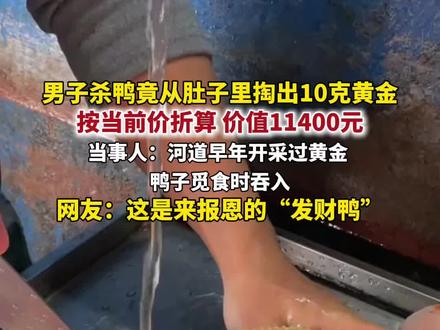 男子杀鸭竟从肚子里掏出10克黄金。