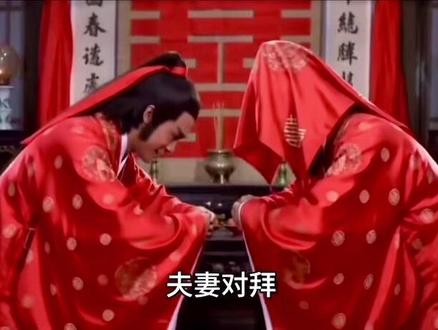 番外➕1:艺术来源于生活而高于生活🥲
#雪山救狐狸 #幕后花絮 #拜堂成亲