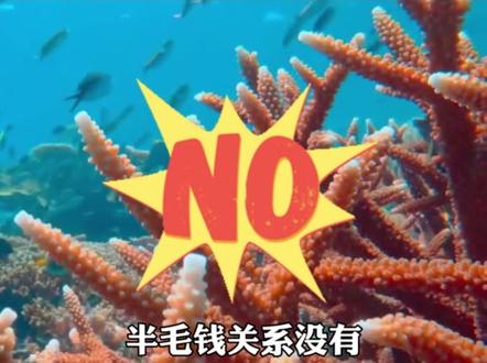 这些衣服买的时候别听名字,都是塑料做的 #纺织#塑料制品#纯棉