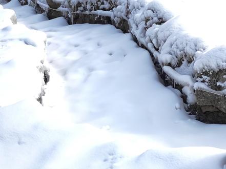 冬日必备|iPhone防寒抗冻指南🧊 温度到了零下,iPhone电量就不耐用了?甚至还会自动关机🪫总结了一些经验,简单来说:保温>加热❗️#iPhone17Pro #iphone低温保护 #手机续航