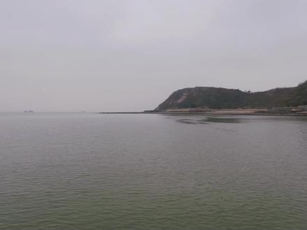 连云港秦山岛赶海超详细攻略#赶海 #秦山岛风景区 #秦山岛赶海攻略 #大海的馈赠 #赶海赶海赶海啦