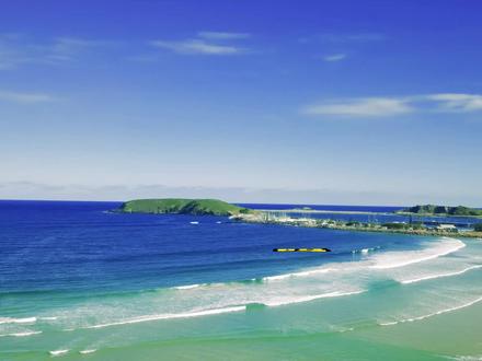 你知道海星的秘密吗 #海洋生物 #海底世界 #亲子