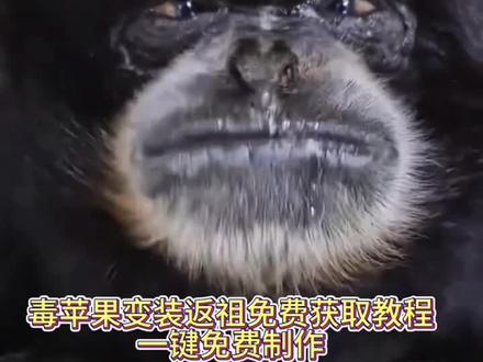 你们要的毒苹果反转版制作教程来了 毒苹果变装教程 毒苹果变装大猩猩特效 毒苹果变大猩猩教程 吃毒苹果变成大猩猩 毒苹果变装模板 毒苹果变装原视频 咬一口苹果变装视频 毒苹果变装猴子 毒苹果变装怎么拍 毒苹果变装原视频 毒苹果变装创意版 毒苹果变装ai 吃苹果怎么还返祖了 吃苹果返祖挑战 毒苹果变装转场特效教程来了毒苹果变装转场ai指令 毒苹果转场ai教程 女巫的毒药特效 女巫变装 毒苹果变装 女巫的毒药效果 女巫的毒药特效 女巫毒药cos女巫毒药原创怎么火的 毒苹果变装最火版咬一口苹果变装视频 女巫咬苹果变装 毒苹果变装怎么拍 毒苹果变装教程 万圣节变装转场特效 毒苹果变装转场 毒苹果变装教程,毒苹果变装大猩猩特效,毒苹果变大猩猩教程,吃毒苹果变成大猩猩 毒苹果变装教程 毒苹果变装 ai变装 女巫变装 毒苹果变装模板,毒苹果变装原视频,咬一口苹果变装视频,毒苹果变装猴子,毒苹果变装怎么拍,毒苹果变装原视频,毒苹果变装创意版,毒苹果变装ai #毒苹果变装反转版 #即梦ai #毒苹果变装教程 #毒苹果变装 #毒苹果变装怎么还返祖了