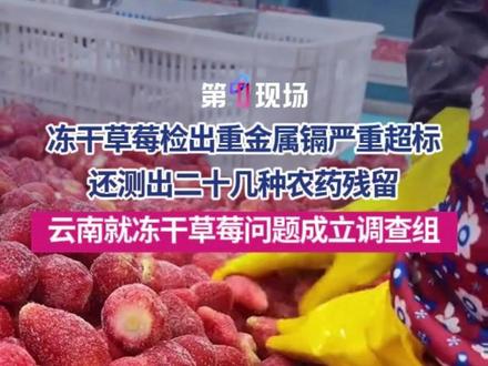 冻干草莓检出重金属镉严重超标,还测出二十几种农药残留,云南就冻干草莓问题成立调查组。#冻干草莓 #金属镉 #严重超标 #农药残留 #主播说新闻 来源:新华社、新京报、云南省农业农村厅