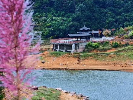 舒服的天气,露营的好季节 #旅行推荐官 #露营 #漳州 #钓鱼 #山顶的风景总要自己去看
你知道吗?漳州周边有两个山顶上的野营地,全程都是双车道水泥铺装路面,轿车都可以很轻松的到达。
第一个位置,海拔818,空气非常的清新,周边环境非常的安静,可以摆桌泡茶、露营野炊。来的时候碰到了从泉州来的户外爱好者,他们刚结束过夜露营准备离场。
这里是位于华安与漳平交界的排坑水库,导航可以直接到达,堤坝上、圆盘上还有水库中央的观景台都可以安营扎寨,不过中央观景台下去的道路约200多米,比较狭窄,宽大的车型不建议进入。
第二个位置,穿过华安县城后沿途会经过十里桃花,这里的凉亭和观景台可以俯瞰群山和整个华安县城区域,路边粉红的桃花已经悄然绽放。
继续行驶,这里是华安麒麟山地质公园,海拔620米,这里停车非常的方便,还有干净的卫生间,喜欢轻度爬山的,相信这里的原生态一定不会让你失望。