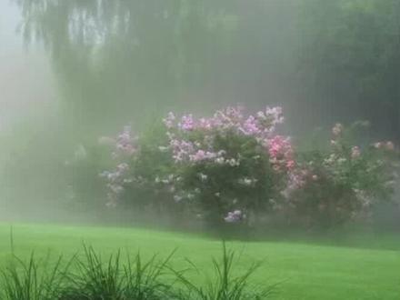 20秒get邪修P图去雾技巧#醒图涂鸦 #20秒get邪修P图去雾技巧 #邪修P图 #醒图创作者 #修图前vs修图后 邪修p图教程 快速p图教程 快速修图技巧 图片去雾技巧 图片去雾教程 照片去雾教程 给照片去雾教程 照片调色技巧 照片调色教程 照片调色参数大全