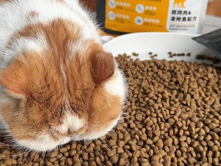 如果你家猫吃腻了“普通”猫粮,那就来试试这款派得家的鲜肉猫粮 #猫粮
