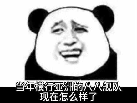 当年的八八舰队怎么样了(二)